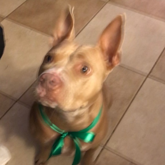 Meet your Posher, Maria - Picture 1 of 1